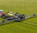 Tillage: The challenge of grass weeds in 2024