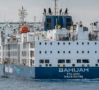 No ‘significant’ concerns for livestock stuck on ship off Australia