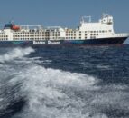 Ship carrying thousands of livestock directed to return to Australia