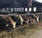 DAERA announces £1.6m in funding for agri-food projects