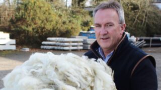 Wool price boost to exceed 10% in Northern Ireland