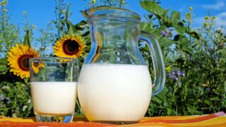 2024 will see dairy companies make sustainable changes