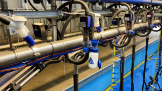 Dairy advice: Complete an early milk recording