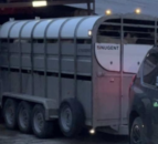 PSNI: Cattle trailer stolen from farmyard in Co. Tyrone