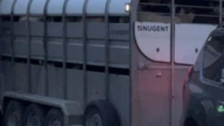 PSNI: Cattle trailer stolen from farmyard in Co. Tyrone