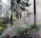 Burnley farmer faces £1,000 fine for illegal burning
