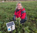 Regenerative agriculture study has 'fascinating' findings on benefits