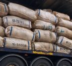 20% rise in value of wool – British Wool