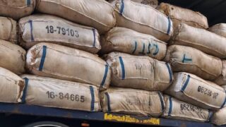 20% rise in value of wool – British Wool