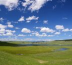 UK Govt launches new plan to boost 'nature recovery'