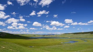 Interim chair of Joint Nature Conservation Committee has appointment extended