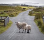 AECS awarded more than £7m to rural businesses in 2023