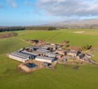Cumbrian dairy farm and farmhouse comes to the market for £4.9m