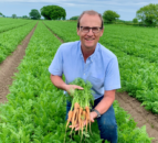 Decrease in growers of UK's favourite vegetable due to tight margins