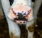 Mole Valley Farmers reports £7.6m group operating loss