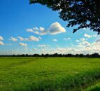 Tesco urges govt to deliver 'clear plan' for agriculture