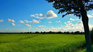 Tesco urges govt to deliver ‘clear plan’ for agriculture