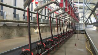 GDT price index up by over 4% at latest event