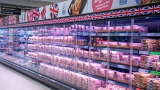 Lidl GB announces plan to ‘elevate’ chicken welfare standards