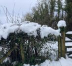 Heavy snow in Fermanagh halts agri activity