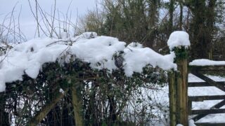 Heavy snow in Fermanagh halts agri activity