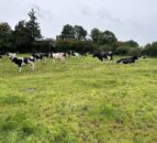 Challenge with grazing continues across the country