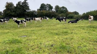 Challenge with grazing continues across the country