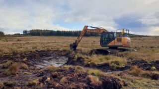 Scotland: 10,000ha of peatland set as part of rewetting journey