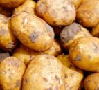 'Access to quality land is diminishing' - GB Potatoes chair