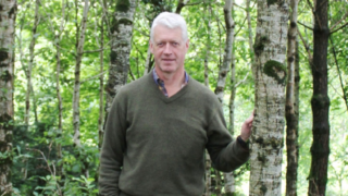 NI forestry and woodland sector reaches ‘crisis’ point – industry