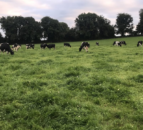 Are the days of early spring grazing over?