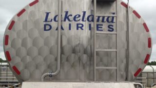 Lakeland Dairies announces milk price for February supplies