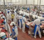 FSA taking Welsh Kepak factory hygiene concerns ‘very seriously’
