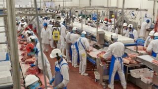 FSA taking Welsh Kepak factory hygiene concerns ‘very seriously’