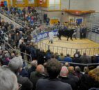 Scottish Suckler Beef Support Scheme lacks 'clarity' - IAAS