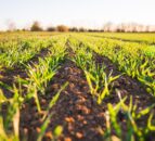 University to host screening for new farming documentary