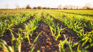 University to host screening for new farming documentary