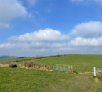 Derbyshire Wildlife Trust purchase Common Farm for rewilding purposes