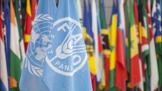 FAO: Food insecurity the ‘new normal’ since Covid-19