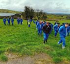 CAFRE to host ‘efficient and sustainable’ farm walks