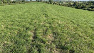 Advice: Actions to take as weather improves