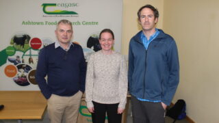 Potato industry entering new era of blight management