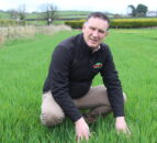 ‘60% of targeted winter cereal planting achieved in NI’ – agronomist