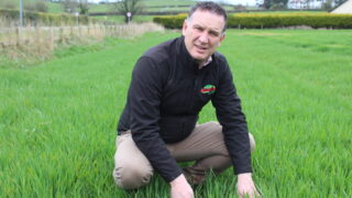 ‘60% of targeted winter cereal planting achieved in NI’ – agronomist