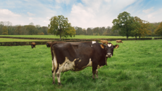 RSPCA launches ‘For Every Kind’ campaign on anniversary