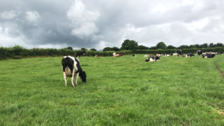 Breeding: Time to start preparation for 2024 season