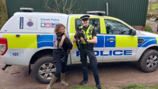 Dorset rural crime team recovers 2 stolen blue texel lambs