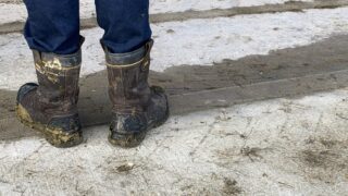 MP urges farmers to stay safe with slurry following ‘near miss’