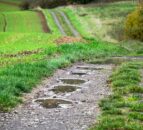 NFU Scotland lays out terms for govt after 'poor spring'
