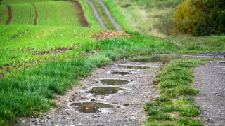 NFU Scotland lays out terms for govt after ‘poor spring’